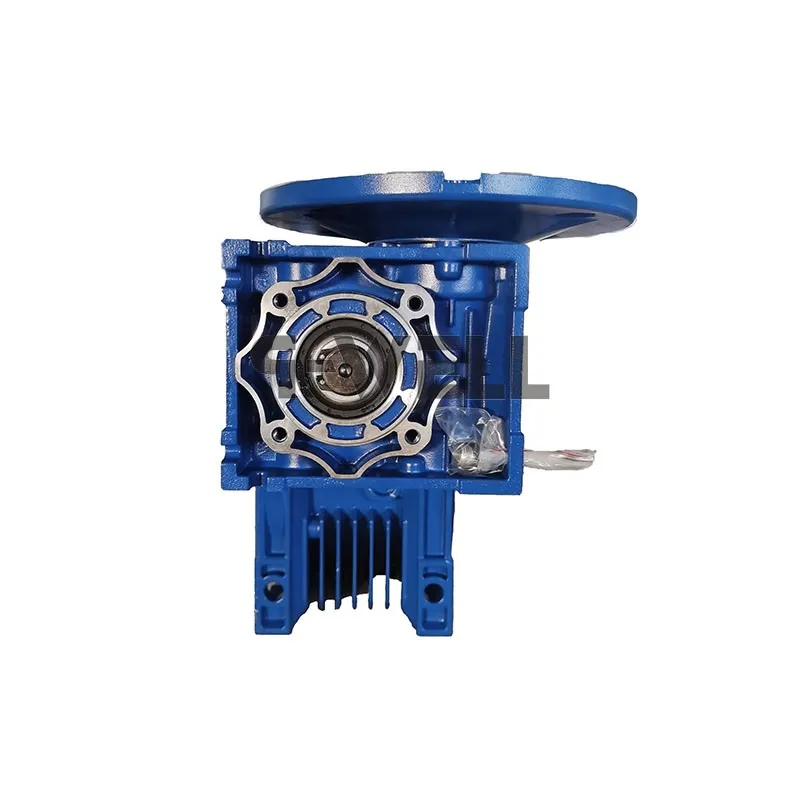 Double Worm Gearbox DRV40-75 6